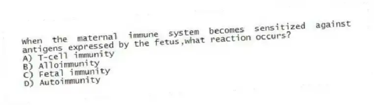 When the maternal immune system becomes sensitized against antigens expressed by the fetus,what reaction occurs?
A) T-cell immunity
B) Alloimmunity
C) Fetal immunity
D) Autoimmunity