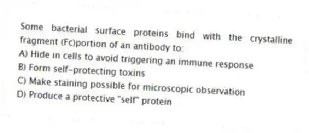 Some bacterial surface proteins bind with the crystalline fragment (Fc)portion of an antibody to:
A) Hide in cells to avoid triggering an immune response
B) Form self-protecting toxins
C) Make staining possible for microscopic observation
D) Produce a protective "self" protein