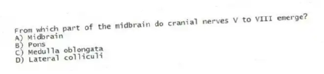 From which part of the midbrain do cranial nerves V to VIII emerge?
A) Midbrain
B) Pons
C) Medulla oblongata
D) Lateral colliculi