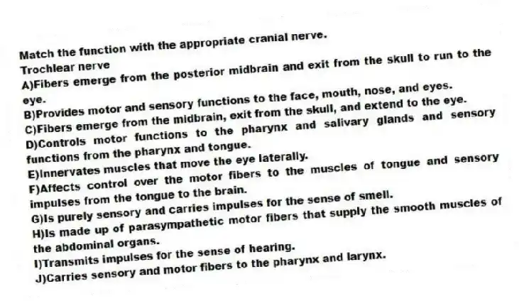 Match the function with the appropriate cranial nerve.
-Trochlear nerve
A)Fibers emerge from the posterior midbrain and exit from the skull to run to the eye.
B)Provides motor and sensory functions to the face, mouth, nose, and eyes.
C)Fibers emerge from the midbrain, exit from the skull, and extend to the eye.
D)Controls motor functions to the pharynx and salivary glands and sensory functions from the pharynx and tongue.
E)Innervates muscles that move the eye laterally.
F)Affects control over the motor fibers to the muscles of tongue and sensory impulses from the tongue to the brain.
G)Is purely sensory and carries impulses for the sense of smell.
H)Is made up of parasympathetic motor fibers that supply the smooth muscles of the abdominal organs.
I)Transmits impulses for the sense of hearing.
J)Carries sensory and motor fibers to the pharynx and larynx.