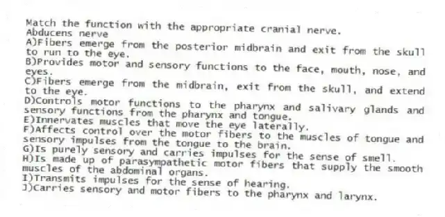 Match the function with the appropriate cranial nerve.
-Abducens nerve
A)Fibers emerge from the posterior midbrain and exit from the skull to run to the eye.
B)Provides motor and sensory functions to the face, mouth, nose, and eyes.
C)Fibers emerge from the midbrain, exit from the skull, and extend to the eye.
D)Controls motor functions to the pharynx and salivary glands and sensory functions from the pharynx and tongue.
E)Innervates muscles that move the eye laterally.
F)Affects control over the motor fibers to the muscles of tongue and sensory impulses from the tongue to the brain.
G)Is purely sensory and carries impulses for the sense of smell.
H)Is made up of parasympathetic motor fibers that supply the smooth muscles of the abdominal organs.
I)Transmits impulses for the sense of hearing.
J)Carries sensory and motor fibers to the pharynx and larynx.