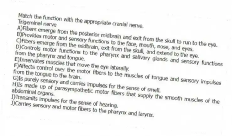 Match the function with the appropriate cranial nerve.
-Trigeminal nerve
A)Fibers emerge from the posterior midbrain and exit from the skull to run to the eye.
B)Provides motor and sensory functions to the face, mouth, nose, and eyes.
C)Fibers emerge from the midbrain, exit from the skull, and extend to the eye.
D)Controls motor functions to the pharynx and salivary glands and sensory functions from the pharynx and tongue.
E)Innervates muscles that move the eye laterally.
F)Affects control over the motor fibers to the muscles of tongue and sensory impulses from the tongue to the brain.
G)Is purely sensory and carries impulses for the sense of smell.
H)Is made up of parasympathetic motor fibers that supply the smooth muscles of the abdominal organs.
I)Transmits impulses for the sense of hearing.
J)Carries sensory and motor fibers to the pharynx and larynx.