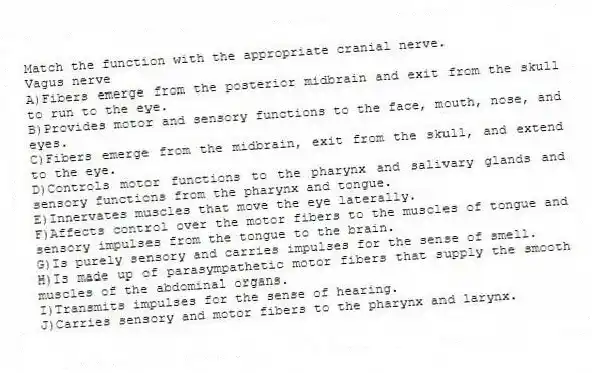 Match the function with the appropriate cranial nerve.
-Vagus nerve
A)Fibers emerge from the posterior midbrain and exit from the skull to run to the eye.
B)Provides motor and sensory functions to the face, mouth, nose, and eyes.
C)Fibers emerge from the midbrain, exit from the skull, and extend to the eye.
D)Controls motor functions to the pharynx and salivary glands and sensory functions from the pharynx and tongue.
E)Innervates muscles that move the eye laterally.
F)Affects control over the motor fibers to the muscles of tongue and sensory impulses from the tongue to the brain.
G)Is purely sensory and carries impulses for the sense of smell.
H)Is made up of parasympathetic motor fibers that supply the smooth muscles of the abdominal organs.
I)Transmits impulses for the sense of hearing.
J)Carries sensory and motor fibers to the pharynx and larynx.