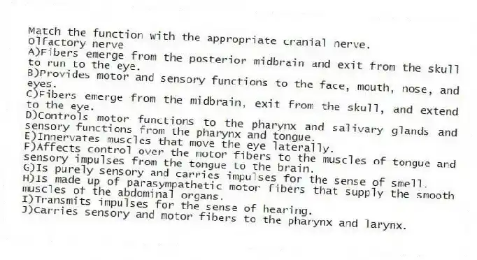Match the function with the appropriate cranial nerve.
-Olfactory nerve
A)Fibers emerge from the posterior midbrain and exit from the skull to run to the eye.
B)Provides motor and sensory functions to the face, mouth, nose, and eyes.
C)Fibers emerge from the midbrain, exit from the skull, and extend to the eye.
D)Controls motor functions to the pharynx and salivary glands and sensory functions from the pharynx and tongue.
E)Innervates muscles that move the eye laterally.
F)Affects control over the motor fibers to the muscles of tongue and sensory impulses from the tongue to the brain.
G)Is purely sensory and carries impulses for the sense of smell.
H)Is made up of parasympathetic motor fibers that supply the smooth muscles of the abdominal organs.
I)Transmits impulses for the sense of hearing.
J)Carries sensory and motor fibers to the pharynx and larynx.