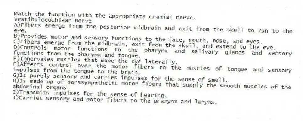 Match the function with the appropriate cranial nerve.
-Vestibulocochlear nerve
A)Fibers emerge from the posterior midbrain and exit from the skull to run to the eye.
B)Provides motor and sensory functions to the face, mouth, nose, and eyes.
C)Fibers emerge from the midbrain, exit from the skull, and extend to the eye.
D)Controls motor functions to the pharynx and salivary glands and sensory functions from the pharynx and tongue.
E)Innervates muscles that move the eye laterally.
F)Affects control over the motor fibers to the muscles of tongue and sensory impulses from the tongue to the brain.
G)Is purely sensory and carries impulses for the sense of smell.
H)Is made up of parasympathetic motor fibers that supply the smooth muscles of the abdominal organs.
I)Transmits impulses for the sense of hearing.
J)Carries sensory and motor fibers to the pharynx and larynx.
