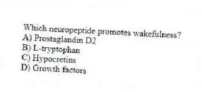 Which neuropeptide promotes wakefulness?
A) Prostaglandin D2
B) L-tryptophan
C) Hypocretins
D) Growth factors