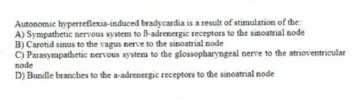 Autonomic hyperreflexia-induced bradycardia is a result of stimulation of the:
A) Sympathetic nervous system to ß-adrenergic receptors to the sinoatrial node
B) Carotid sinus to the vagus nerve to the sinoatrial node
C) Parasympathetic nervous system to the glossopharyngeal nerve to the atrioventricular node
D) Bundle branches to the a-adrenergic receptors to the sinoatrial node
