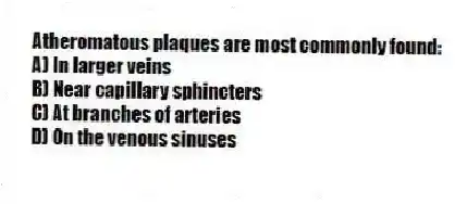 Atheromatous plaques are most commonly found:
A) In larger veins
B) Near capillary sphincters
C) At branches of arteries
D) On the venous sinuses