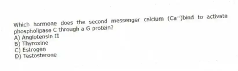 Which hormone does the second messenger calcium (Ca⁺⁺)bind to activate phospholipase C through a G protein?
A) Angiotensin II
B) Thyroxine
C) Estrogen
D) Testosterone