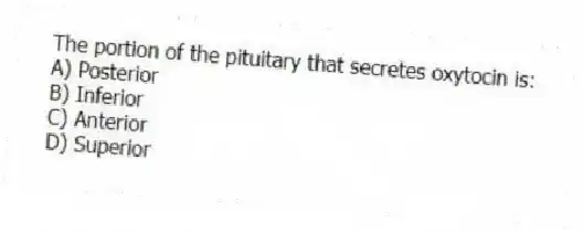 The portion of the pituitary that secretes oxytocin is:
A) Posterior
B) Inferior
C) Anterior
D) Superior