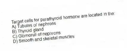 Target cells for parathyroid hormone are located in the:
A) Tubules of nephrons
B) Thyroid gland
C) Glomeruli of nephrons
D) Smooth and skeletal muscles