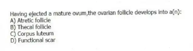 Having ejected a mature ovum,the ovarian follicle develops into a(n):
A) Atretic follicle
B) Thecal follicle
C) Corpus luteum
D) Functional scar