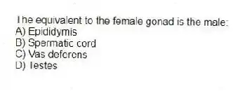 The equivalent to the female gonad is the male:
A) Epididymis
B) Spermatic cord
C) Vas deferens
D) Testes
