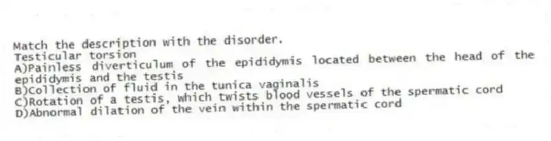 Match the description with the disorder.
-Testicular torsion
A)Painless diverticulum of the epididymis located between the head of the epididymis and the testis
B)Collection of fluid in the tunica vaginalis
C)Rotation of a testis, which twists blood vessels of the spermatic cord
D)Abnormal dilation of the vein within the spermatic cord