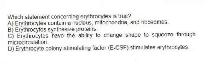 Which statement concerning erythrocytes is true?
A) Erythrocytes contain a nucleus, mitochondria, and ribosomes.
B) Erythrocytes synthesize proteins.
C) Erythrocytes have the ability to change shape to squeeze through microcirculation.
D) Erythrocyte colony-stimulating factor (E-CSF) stimulates erythrocytes.