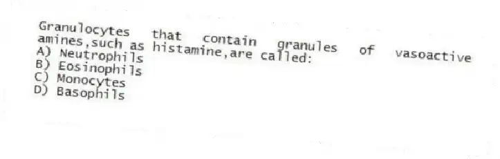 Granulocytes that contain granules of vasoactive amines,such as histamine,are called:
A) Neutrophils
B) Eosinophils
C) Monocytes
D) Basophils