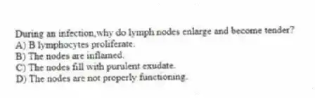 During an infection,why do lymph nodes enlarge and become tender?
A) B lymphocytes proliferate.
B) The nodes are inflamed.
C) The nodes fill with purulent exudate.
D) The nodes are not properly functioning.