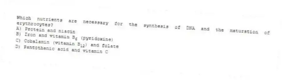 Which nutrients are necessary for the synthesis of DNA and the maturation of erythrocytes?
A) Protein and niacin
B) Iron and vitamin B<sub>6</sub> (pyridoxine)
C) Cobalamin (vitamin B<sub>12</sub>) and folate
D) Pantothenic acid and vitamin C