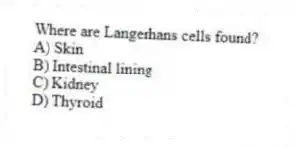 Where are Langerhans cells found?
A) Skin
B) Intestinal lining
C) Kidney
D) Thyroid