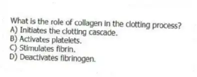 What is the role of collagen in the clotting process?
A) Initiates the clotting cascade.
B) Activates platelets.
C) Stimulates fibrin.
D) Deactivates fibrinogen.