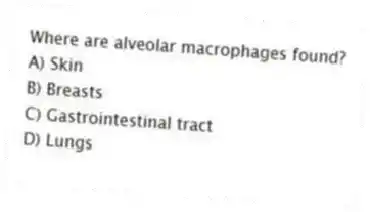 Where are alveolar macrophages found?
A) Skin
B) Breasts
C) Gastrointestinal tract
D) Lungs
