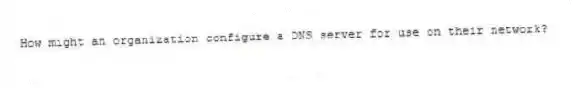 How might an organization configure a DNS server for use on their network?