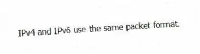 IPv4 and IPv6 use the same packet format.