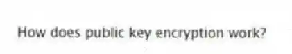 How does public key encryption work?