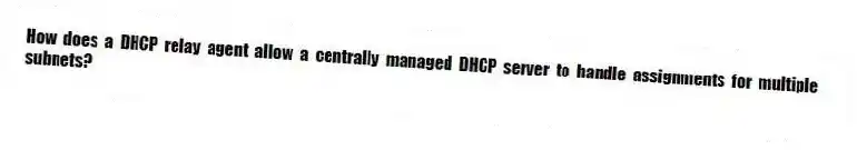 How does a DHCP relay agent allow a centrally managed DHCP server to handle assignments for multiple subnets?