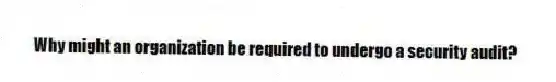 Why might an organization be required to undergo a security audit?