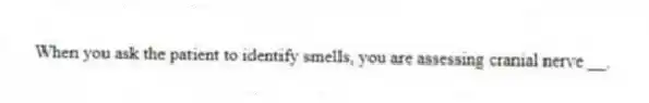 When you ask the patient to identify smells, you are assessing cranial nerve __.