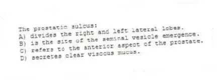 The prostatic sulcus:
A) divides the right and left lateral lobes.
B) is the site of the seminal vesicle emergence.
C) refers to the anterior aspect of the prostate.
D) secretes clear viscous mucus.
