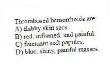 Thrombosed hemorrhoids are:
A) flabby skin sacs.
B) red, inflamed, and painful.
C) fluctuant soft papules.
D) blue, shiny, painful masses.