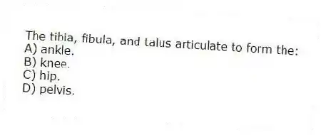 The tibia, fibula, and talus articulate to form the:
A) ankle.
B) knee.
C) hip.
D) pelvis.