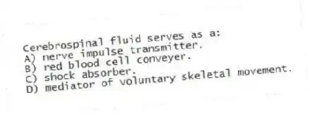 Cerebrospinal fluid serves as a:
A) nerve impulse transmitter.
B) red blood cell conveyer.
C) shock absorber.
D) mediator of voluntary skeletal movement.