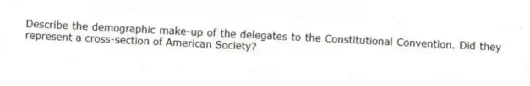 Describe the demographic make-up of the delegates to the Constitutional Convention. Did they represent a cross-section of American Society?