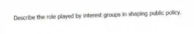 Describe the role played by interest groups in shaping public policy.