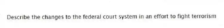 Describe the changes to the federal court system in an effort to fight terrorism