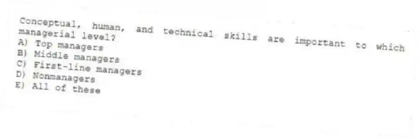 Conceptual, human, and technical skills are important to which managerial level?
A) Top managers
B) Middle managers
C) First-line managers
D) Nonmanagers
E) All of these