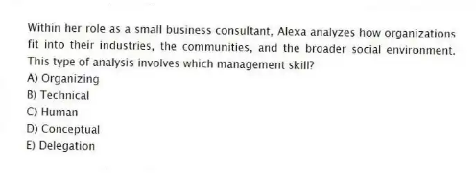 Within her role as a small business consultant, Alexa analyzes how organizations fit into their industries, the communities, and the broader social environment. This type of analysis involves which management skill?
A) Organizing
B) Technical
C) Human
D) Conceptual
E) Delegation