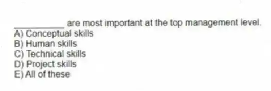 __________ are most important at the top management level.
A) Conceptual skills
B) Human skills
C) Technical skills
D) Project skills
E) All of these
