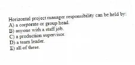 Horizontal project manager responsibility can be held by:
A) a corporate or group head.
B) anyone with a staff job.
C) a production supervisor.
D) a team leader.
E) all of these.
