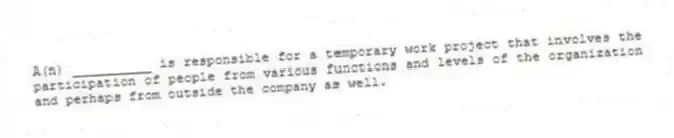 A(n) __________ is responsible for a temporary work project that involves the participation of people from various functions and levels of the organization and perhaps from outside the company as well.