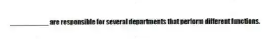 __________ are responsible for several departments that perform different functions.