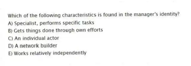 Which of the following characteristics is found in the manager's identity?
A) Specialist, performs specific tasks
B) Gets things done through own efforts
C) An individual actor
D) A network builder
E) Works relatively independently