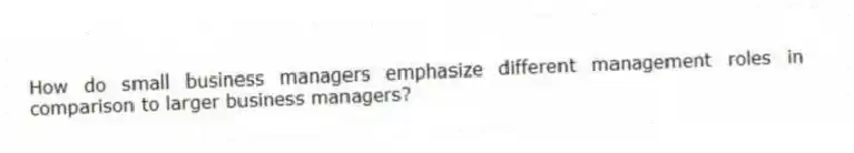 How do small business managers emphasize different management roles in comparison to larger business managers?