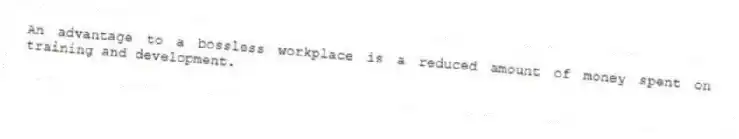 An advantage to a bossless workplace is a reduced amount of money spent on training and development.