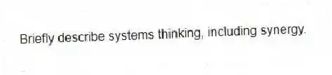 Briefly describe systems thinking, including synergy.