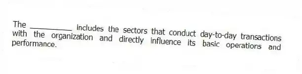 The __________ includes the sectors that conduct day-to-day transactions with the organization and directly influence its basic operations and performance.