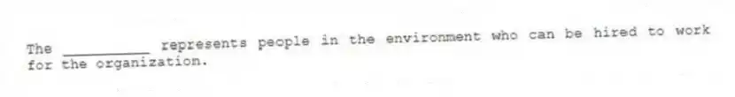 The __________ represents people in the environment who can be hired to work for the organization.